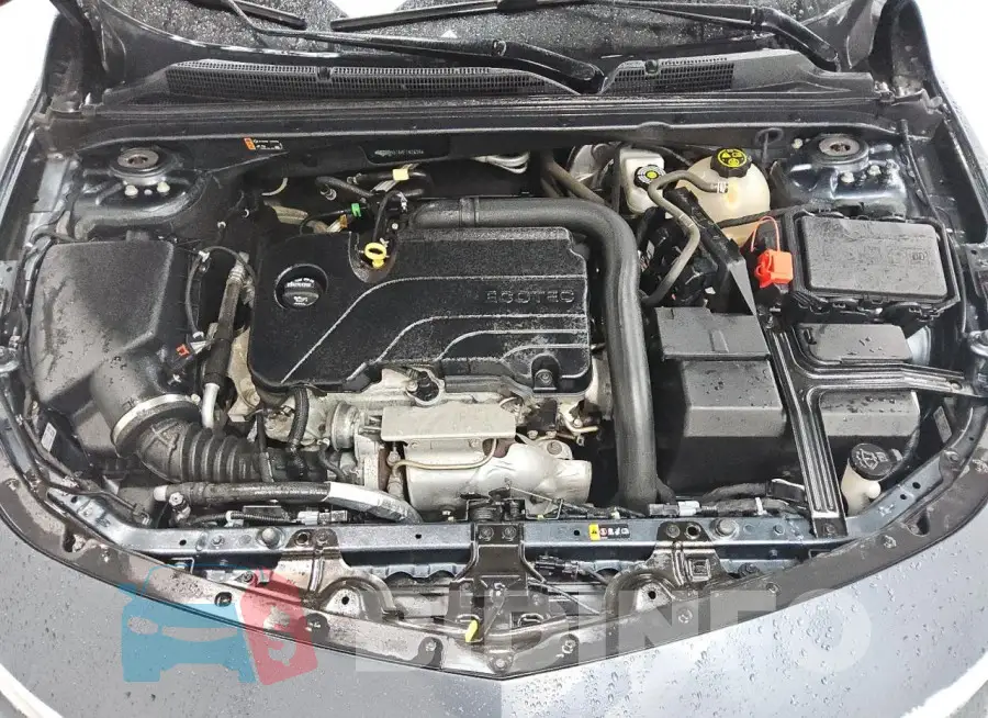 1G1ZD5ST8KF152634 Photo# 11