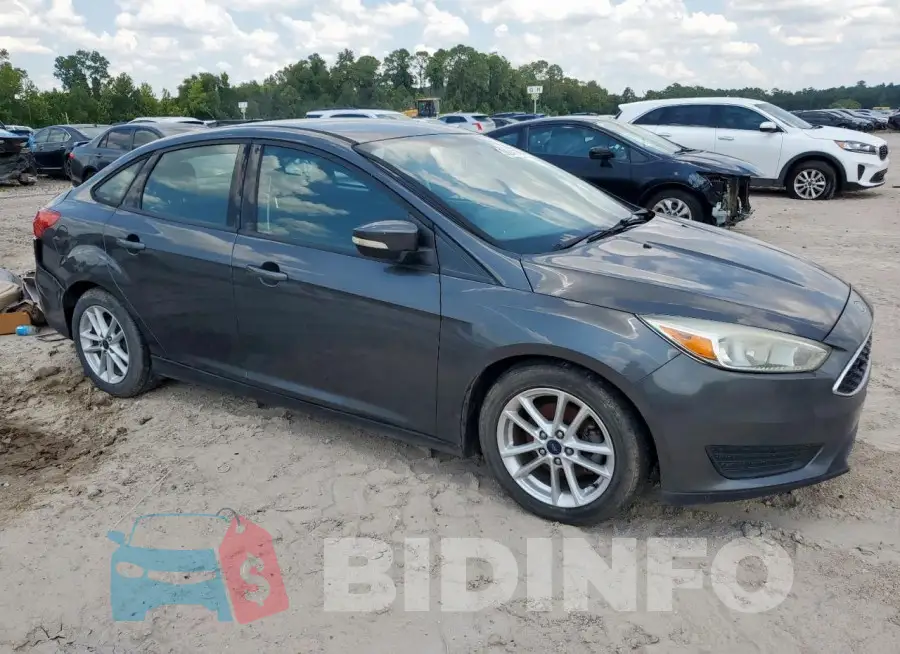 1FADP3F22GL341213 Photo# 4