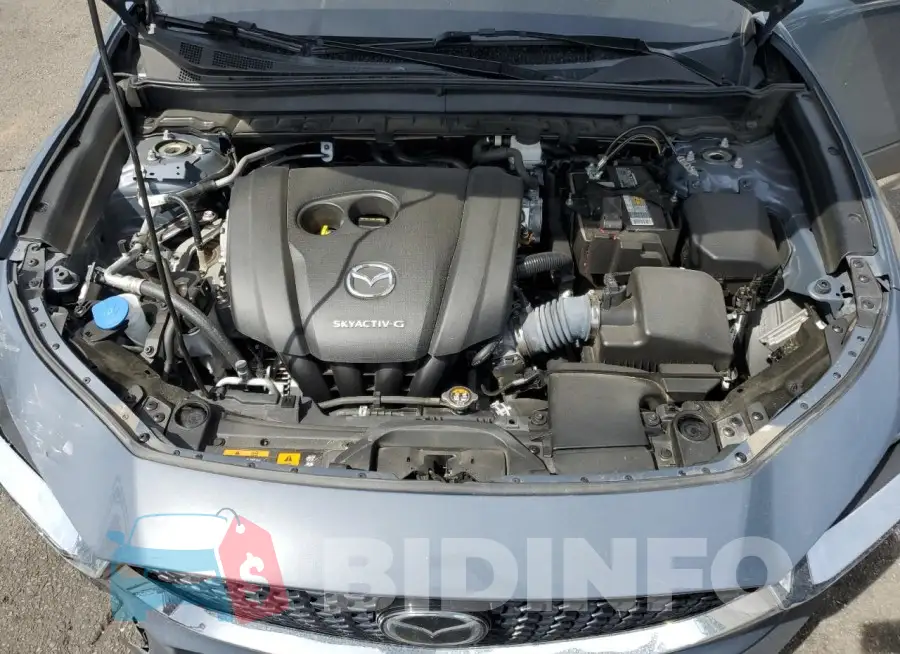 3MVDMBDM1MM216262 Photo# 11