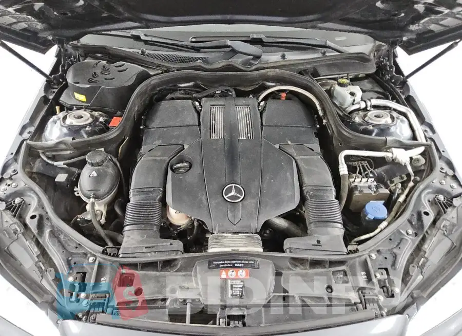 WDDHF6FB5GB189228 Photo# 11