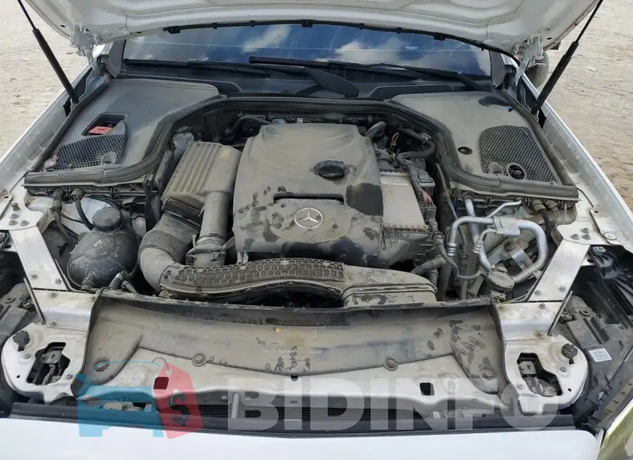 WDDZF4JB9KA555898 Photo# 11
