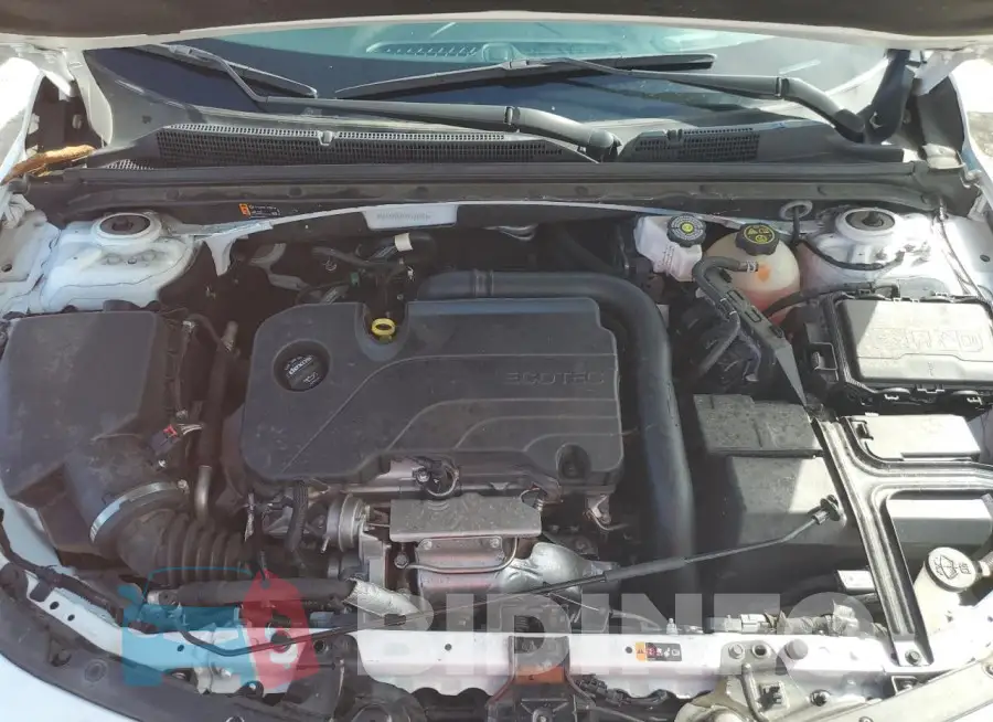 1G1ZD5ST1RF127763 Photo# 11