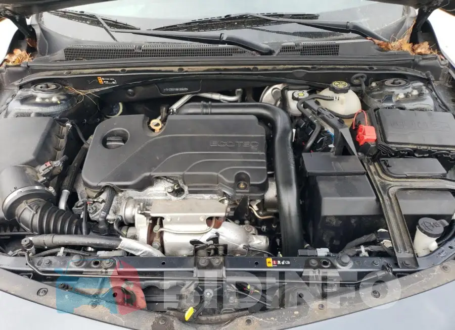 1G1ZD5ST8MF064685 Photo# 11