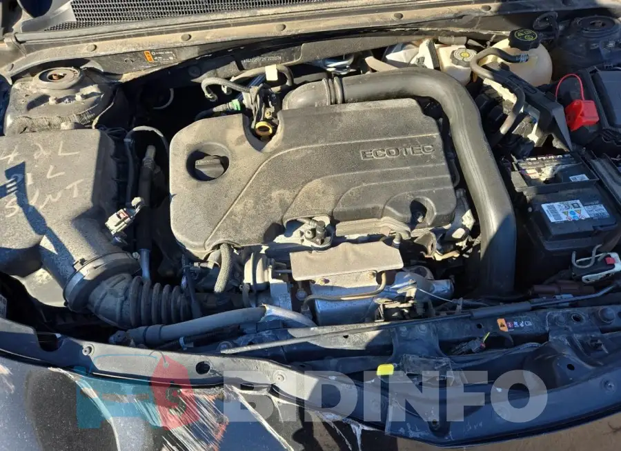 1G1ZG5ST2KF203553 Photo# 11
