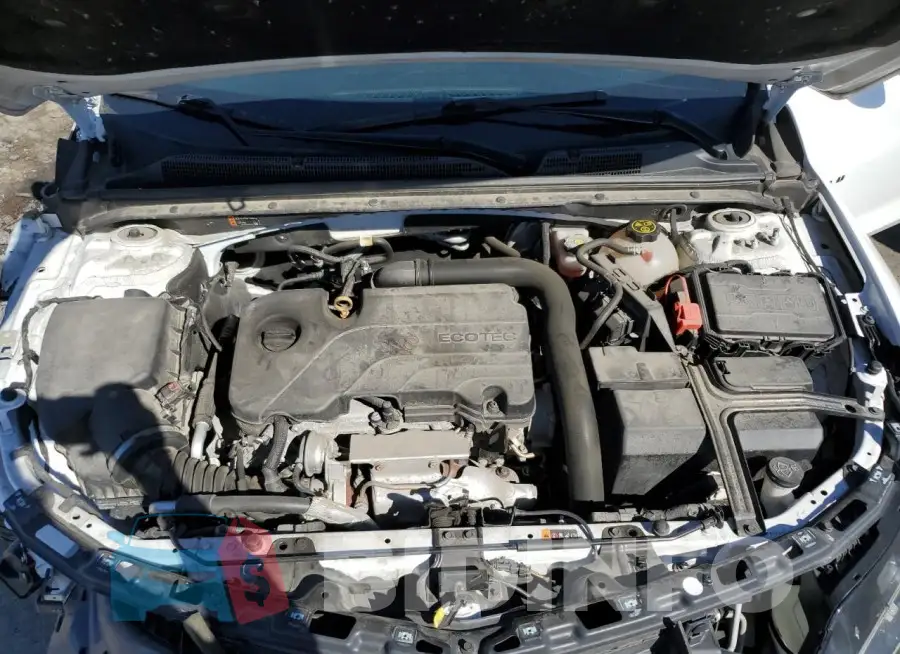 1G1ZG5ST6LF144511 Photo# 11