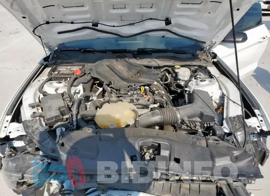1FA6P8TH1M5147562 Photo# 11