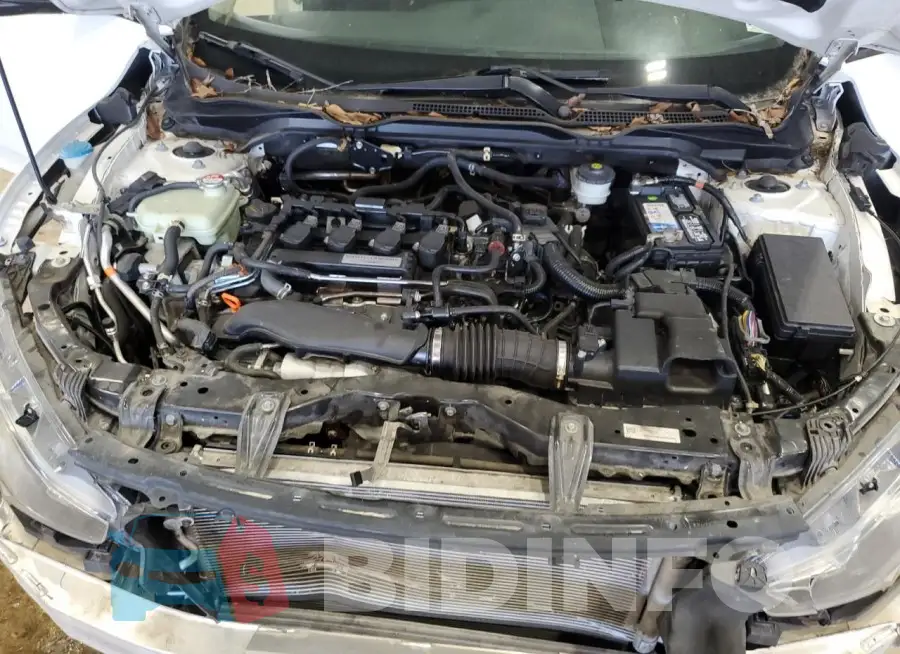 19XFC1F30HE008451 Photo# 11