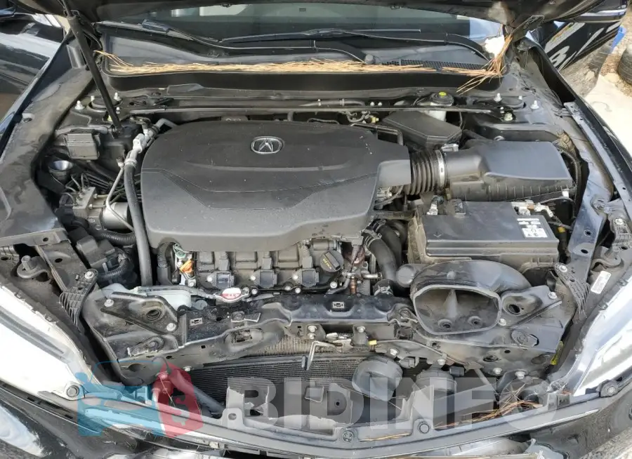 19UUB3F56GA000624 Photo# 11