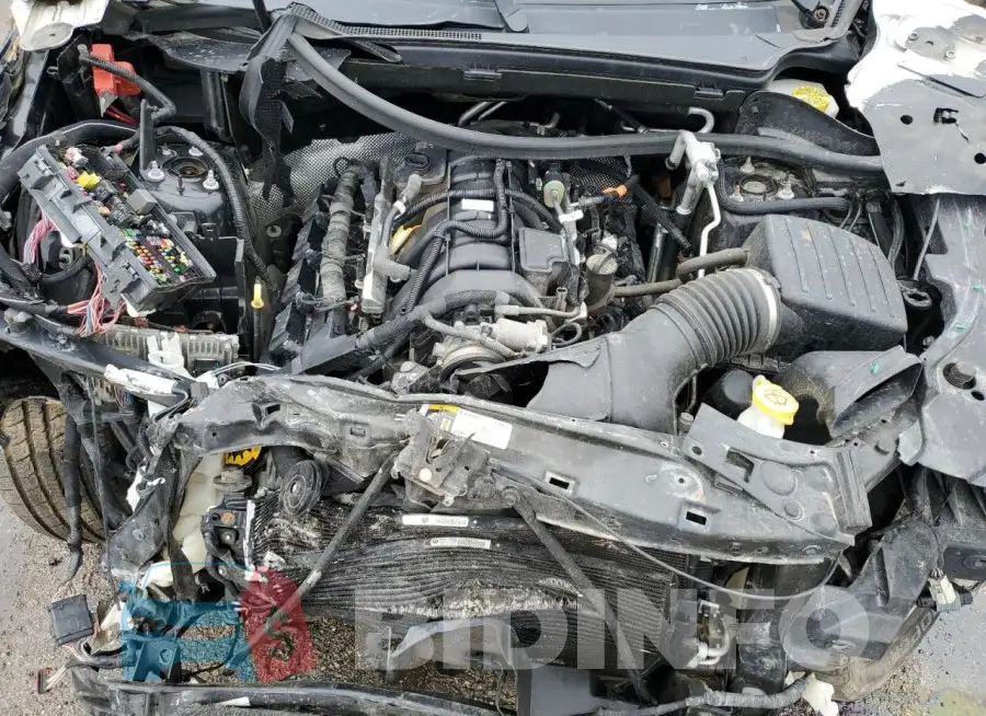 1C4SDJCT9MC555512 Photo# 12
