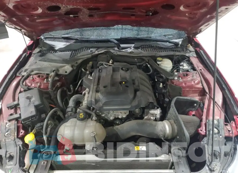 1FA6P8TH4G5288954 Photo# 11