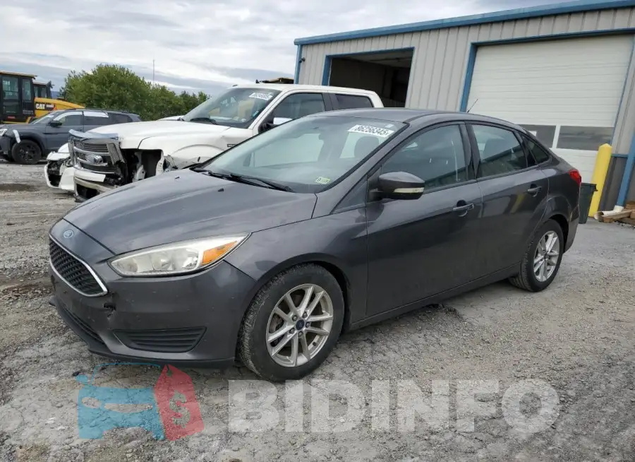1FADP3F29GL231212 Photo# 1