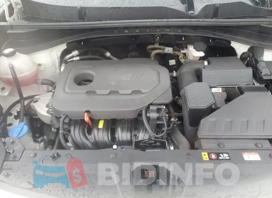 KNDPMCAC1M7932931 Photo# 11