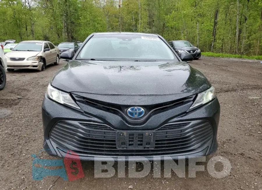 4T1C31AKXLU537509 Photo# 5
