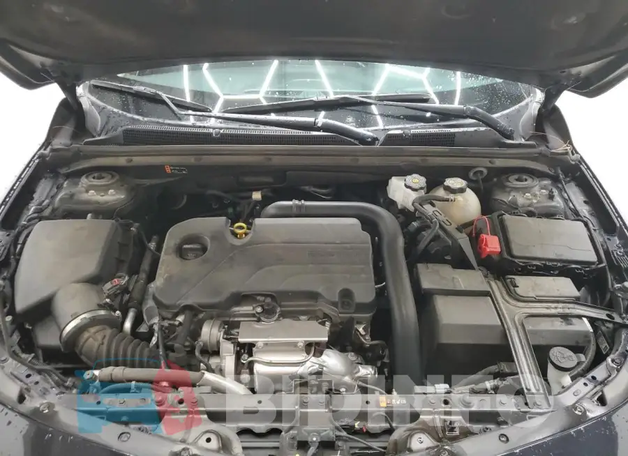 1G1ZD5STXPF240219 Photo# 11