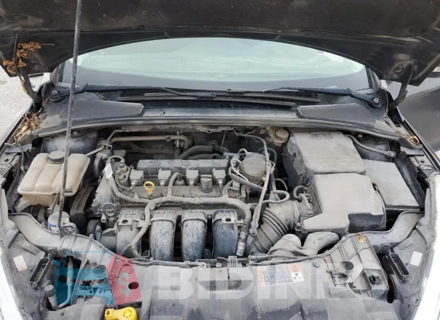 1FADP3F22GL262513 Photo# 11
