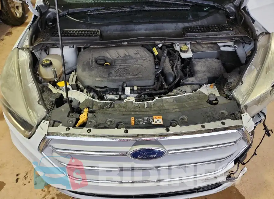 1FMCU9GD6HUB37216 Photo# 12