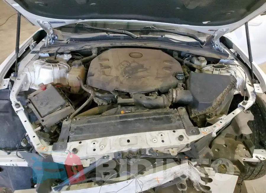 1G1FB1RSXJ0189541 Photo# 11