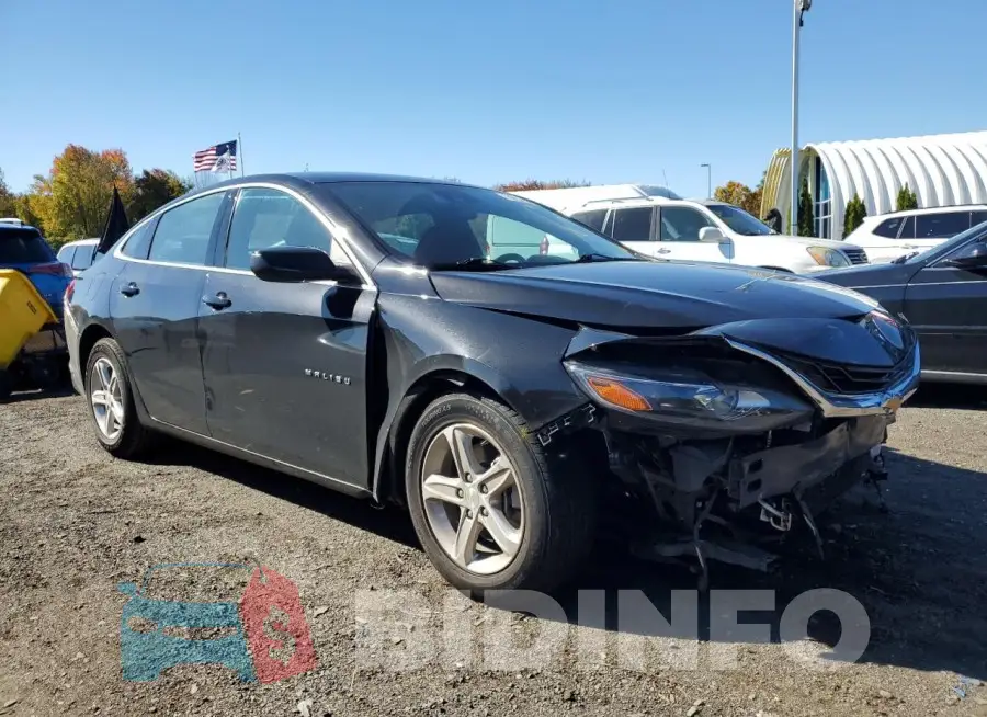 1G1ZD5ST3PF166769 Photo# 4