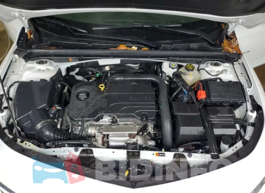 1G1ZD5ST8RF132121 Photo# 11