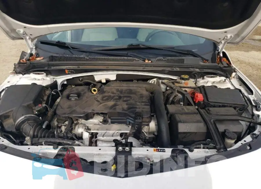 1G1ZD5ST8JF261528 Photo# 11