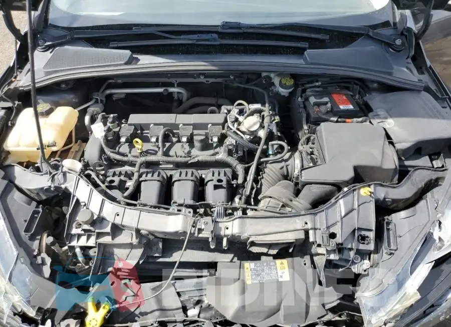 1FADP3F21GL323558 Photo# 11