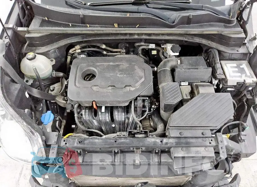 KNDPM3AC7L7754411 Photo# 12