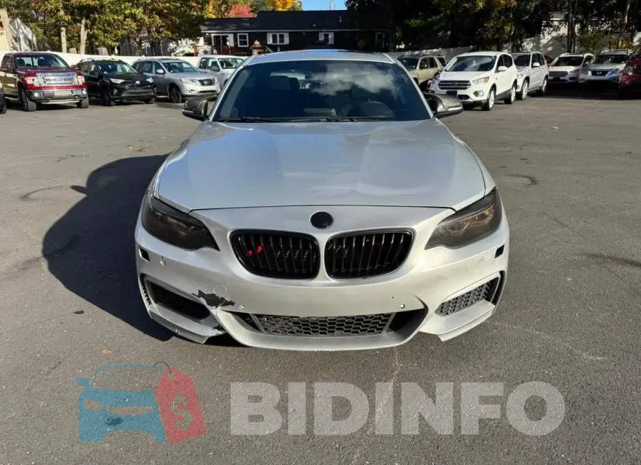 WBA1F9C56GV545208 Photo# 5