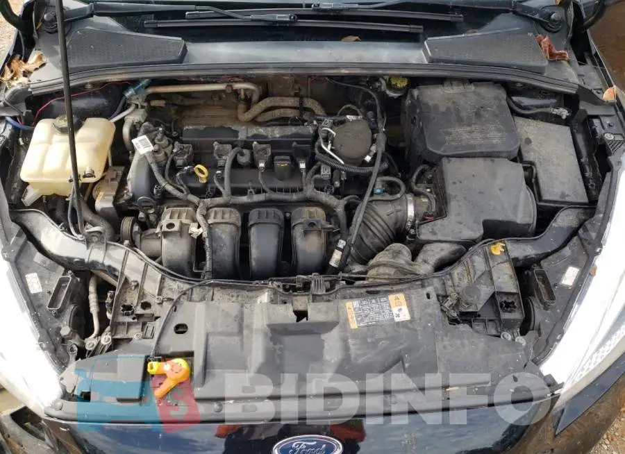 1FADP3F21GL200648 Photo# 11