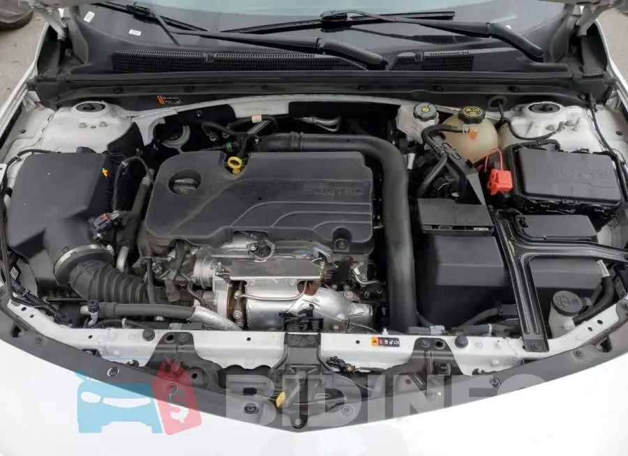 1G1ZD5ST8PF188816 Photo# 11