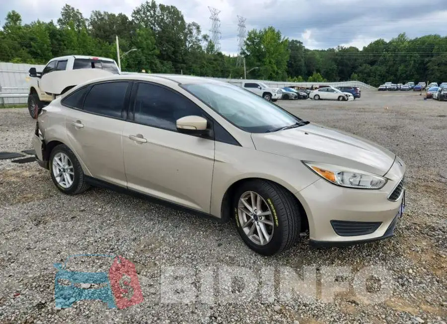 1FADP3F2XHL244293 Photo# 4