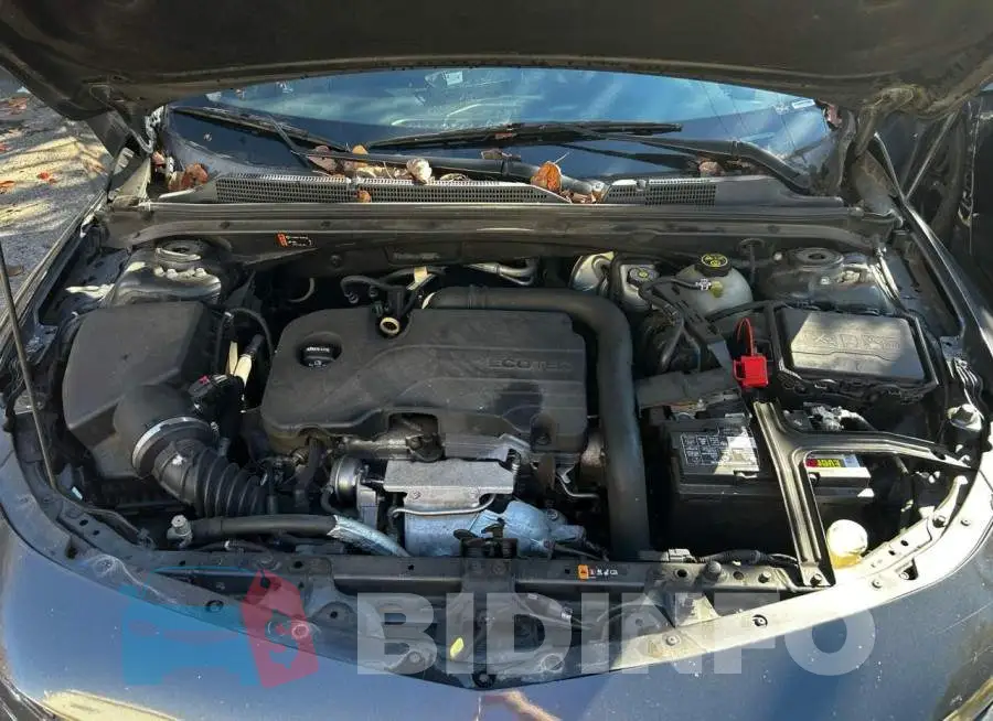 1G1ZD5ST5JF256819 Photo# 7