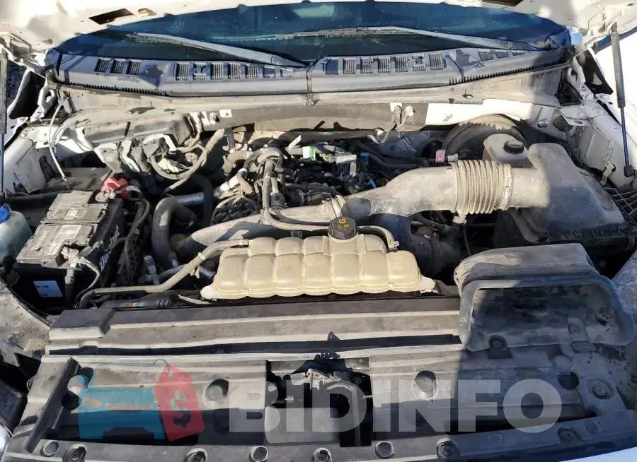 1FTEW1CP8KKD42905 Photo# 11