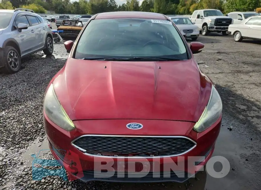 1FADP3F20GL219434 Photo# 5