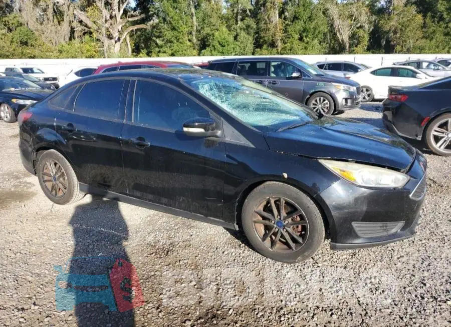 1FADP3F25GL356272 Photo# 4