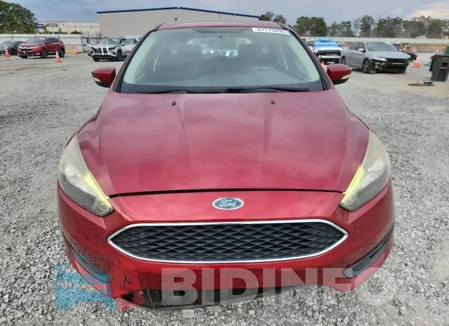 1FADP3M2XHL312059 Photo# 5