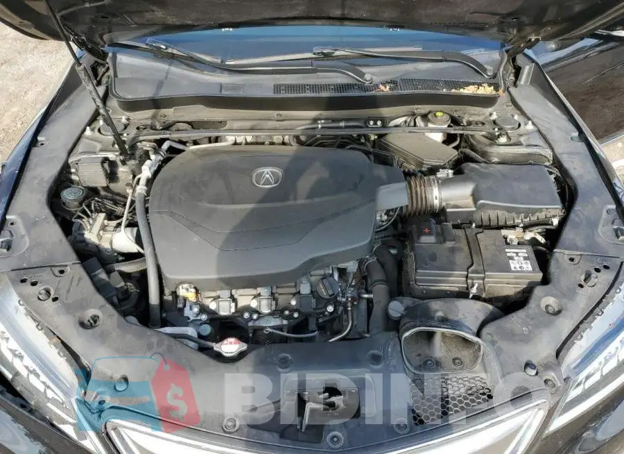 19UUB2F55GA005307 Photo# 11