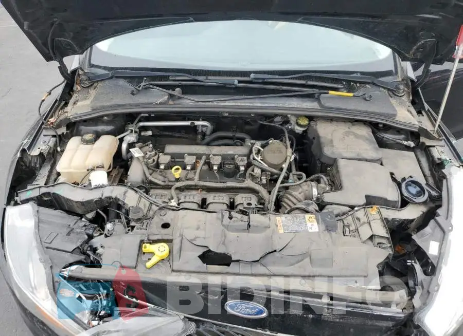 1FADP3E23GL246998 Photo# 11