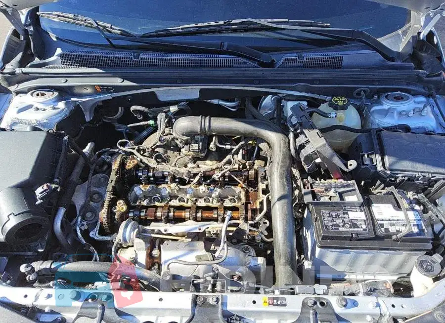 1G1ZD5ST5KF221523 Photo# 11
