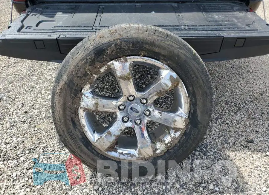 1FTFW1E8XPKE48175 Photo# 12