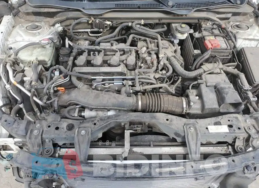 2HGFC1F36HH655717 Photo# 11