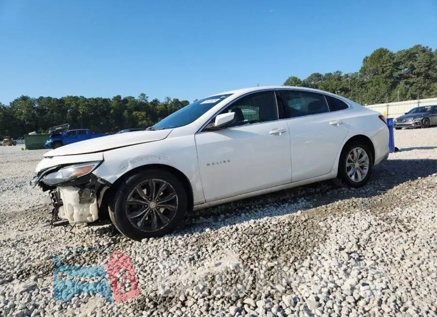1G1ZD5ST1KF175298 Photo# 1