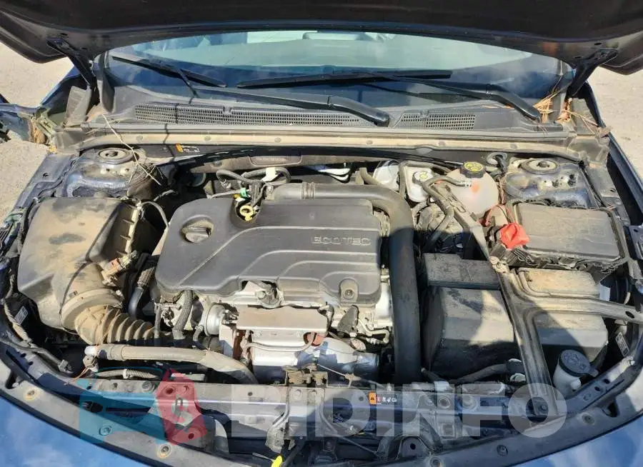 1G1ZD5ST3MF047406 Photo# 11