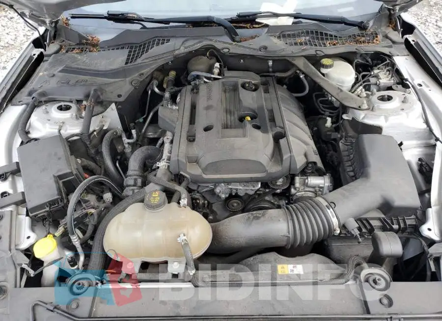 1FA6P8TH5H5299334 Photo# 11