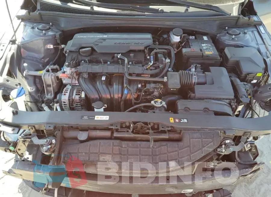 KMHLM4DG7RU707131 Photo# 11