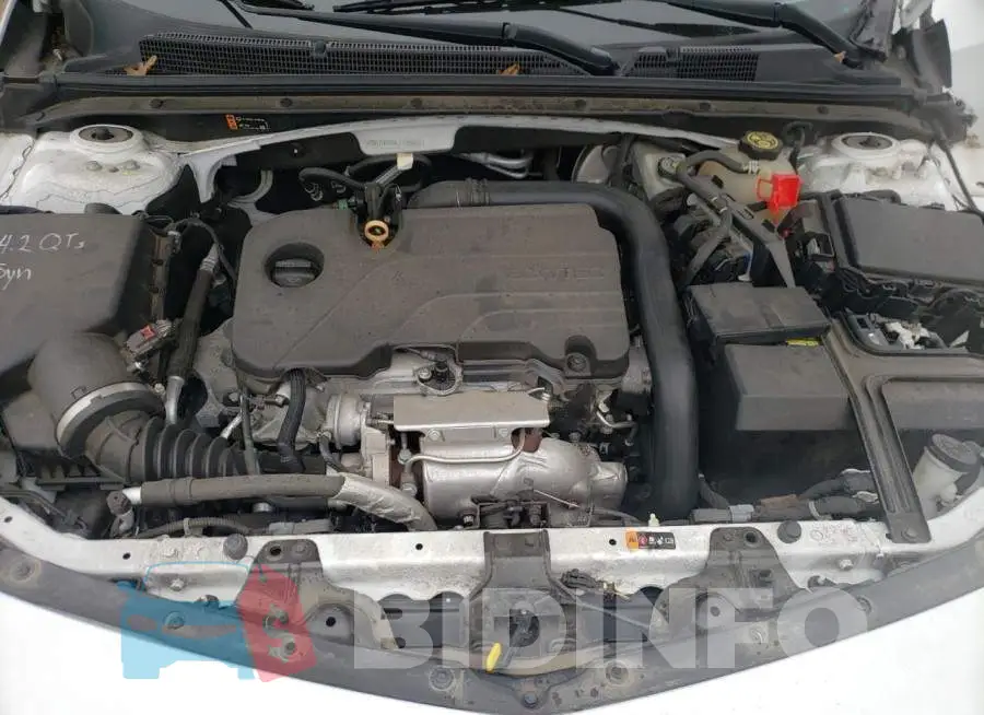 1G1ZD5ST0LF105583 Photo# 11
