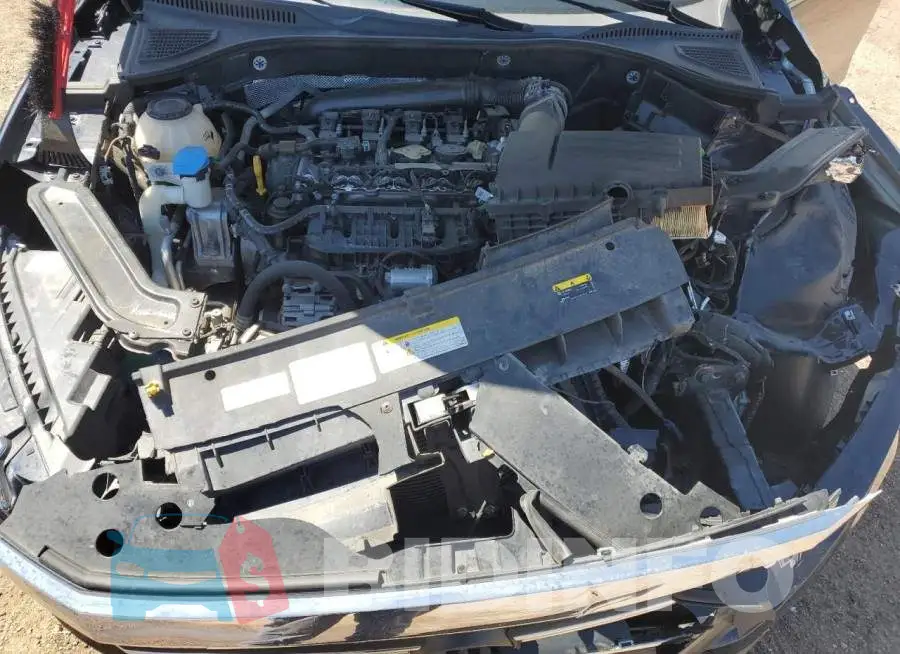 1VWSA7A39MC010082 Photo# 11