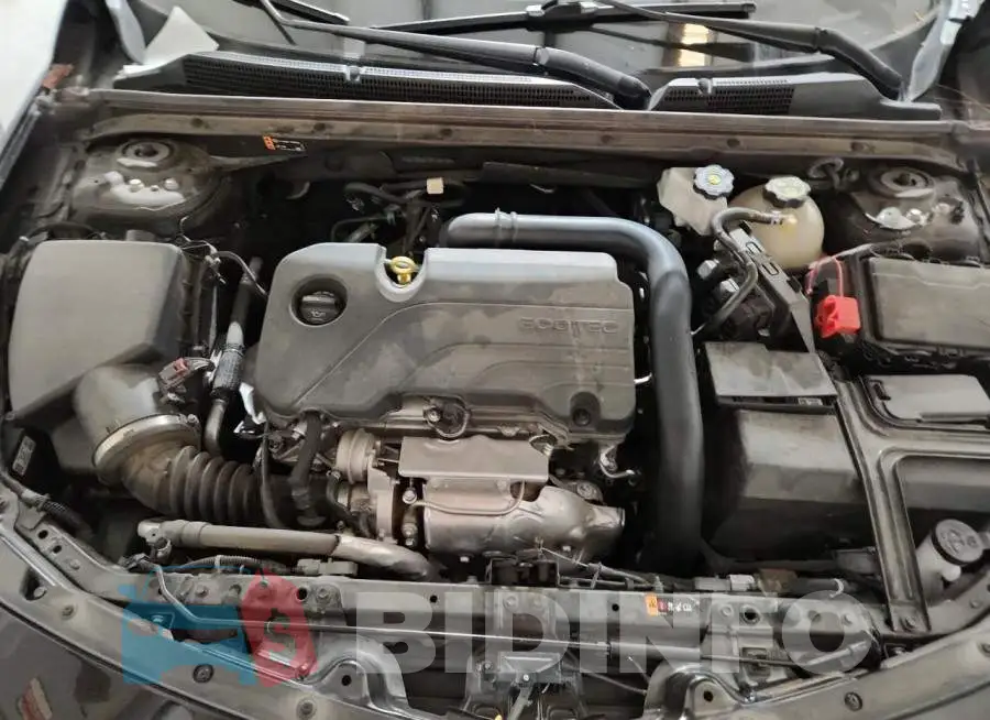 1G1ZD5ST8PF184703 Photo# 11