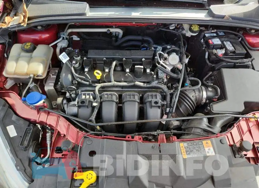 1FADP3K23GL355501 Photo# 11
