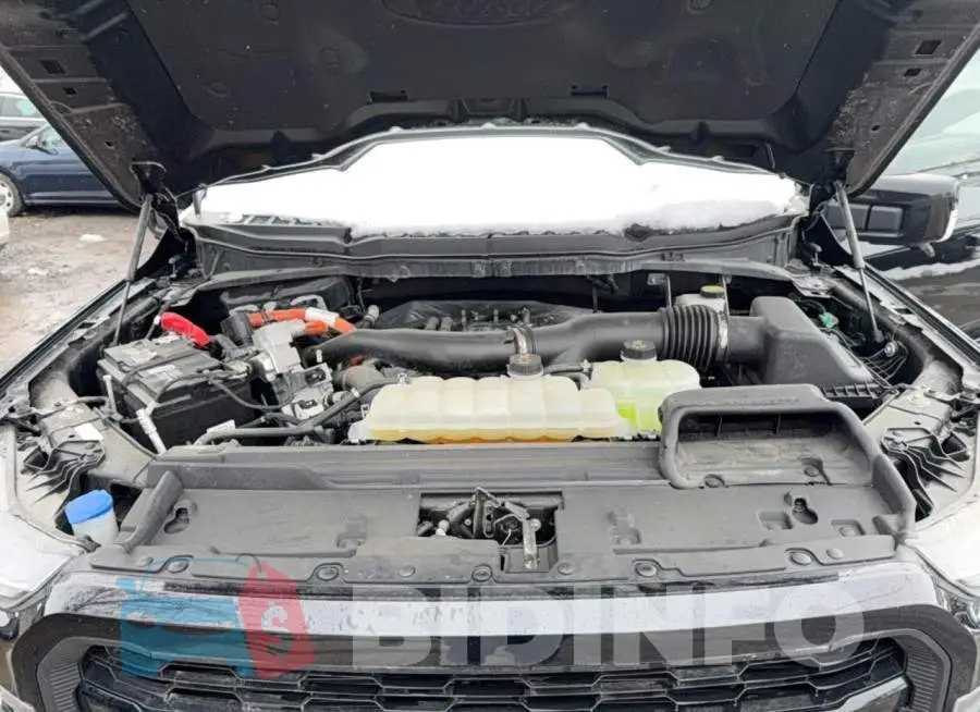1FTFW5LD5RFA16547 Photo# 7