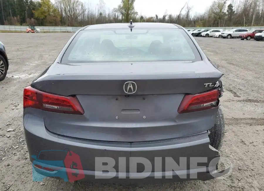 19UUB1F5XHA002317 Photo# 6